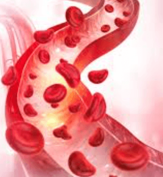 Healthy Circulation Image